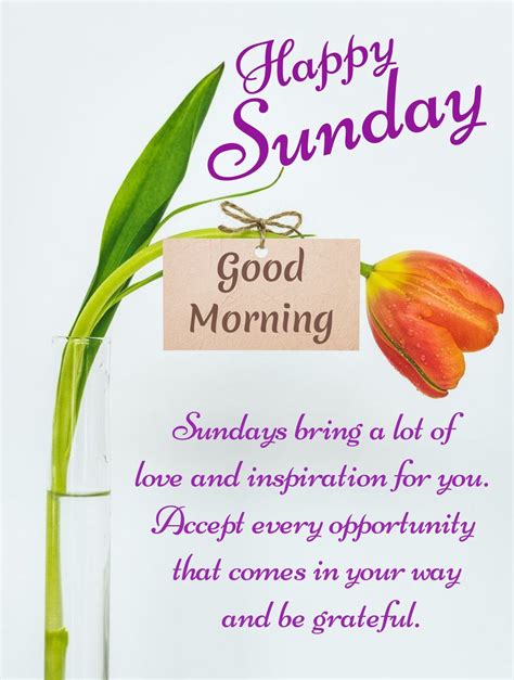 50+ Best Good Morning Sunday Quotes Happy Sunday Morning!