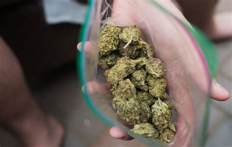 possession of marijuana on school grounds