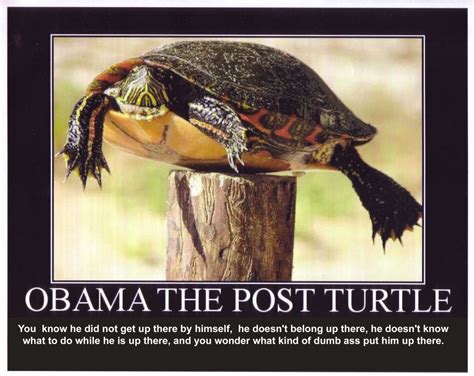 Is the real purpose of Obama’s planned attack on Syria to start a war