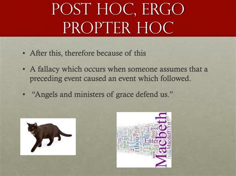10 Post Hoc Ergo Propter Hoc Examples (2025)