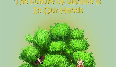 Conservation of plants & animals by edutree HD - YouTube