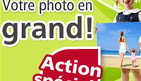 60+ Poster Xxl Mural Cheval Gratuit Affiche Page