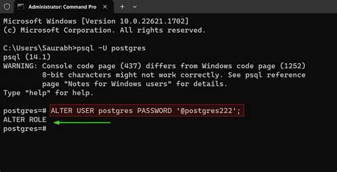 postgres command line password