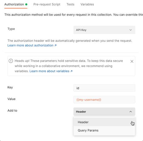 postman api key basic authentication