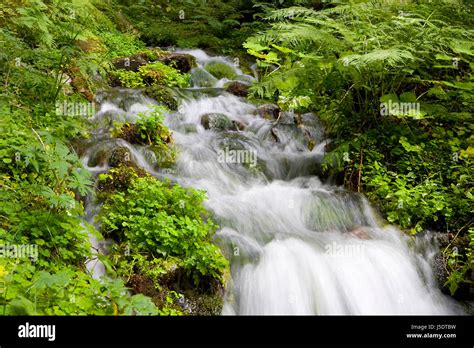 postponement Until the Stream Is Over