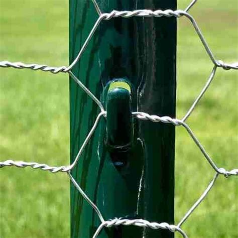 Posts For Chicken Wire Fence