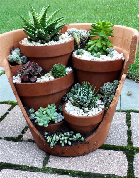 pot ideas for succulent plants