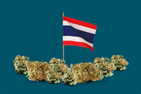 pot legal in thailand