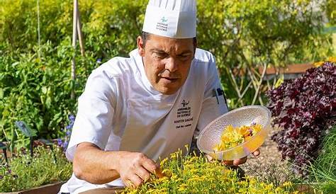 The Chef in the vegetable garden