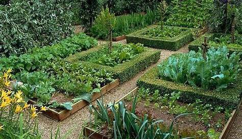 Potager Garden Design Ideas Yard Vegetable , Arch,