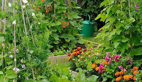 Secrets for Designing Your Own Beautiful French Potager