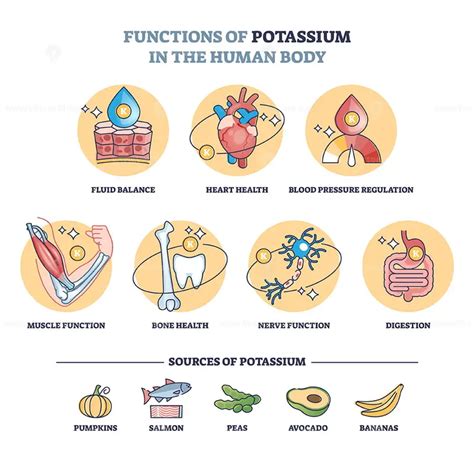 Potassium BioChemical functions Medico La Biochemical, Osmotic