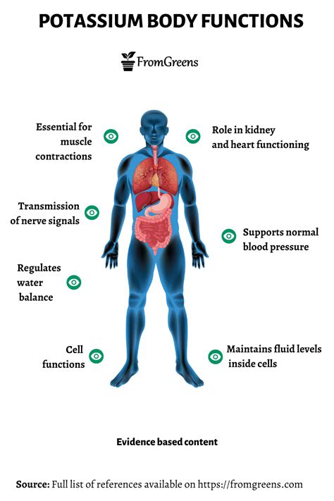 Potassium BioChemical functions Medico La Biochemical, Osmotic
