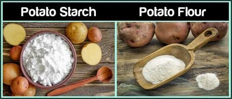 Potato Starch vs Potato Flour. Both Healthy and Good for the Gut