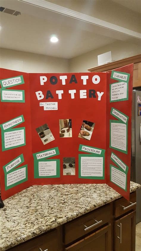 Potato Electricity Science Project