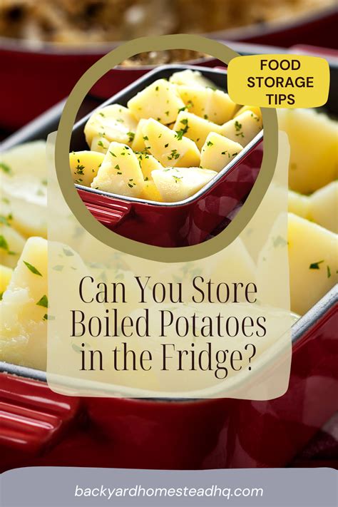 Potatoes Fridge Store