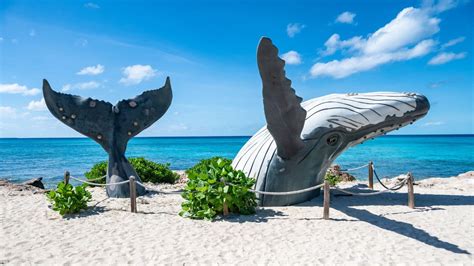 potential travel issues