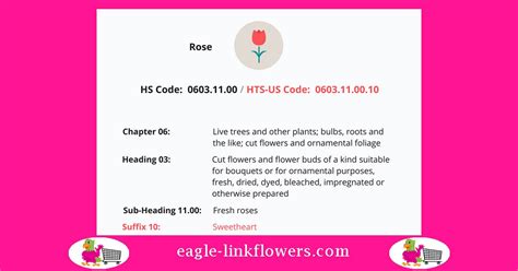 Potpourri Flower Hs Code