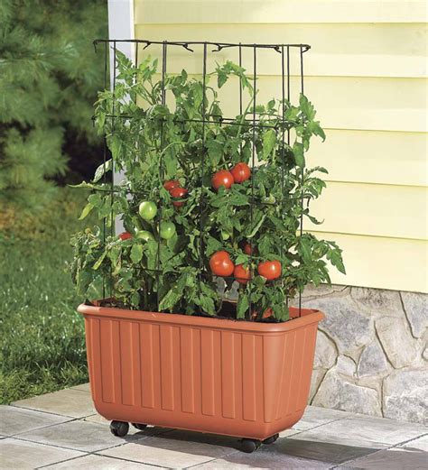 Pots For Patio Tomatoes