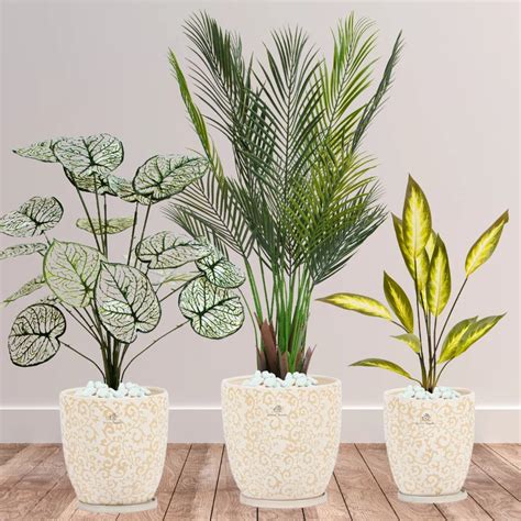 Pots For Plants Uae