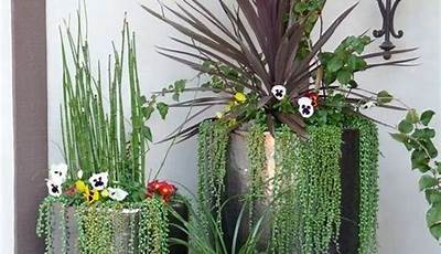 Potted Plants Decoration Ideas