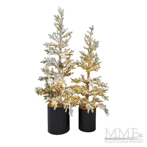 Potted Tree Rental