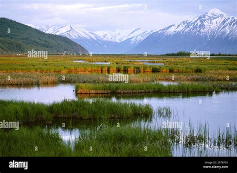 Potter Marsh Turnagain Arm