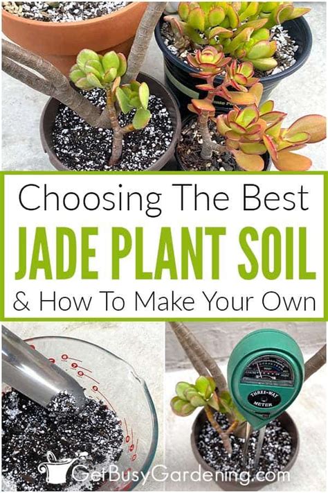 Potting Medium For Jade