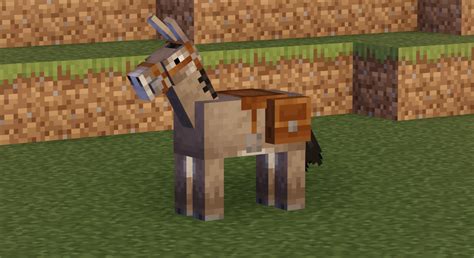 Pouches Minecraft 1.17