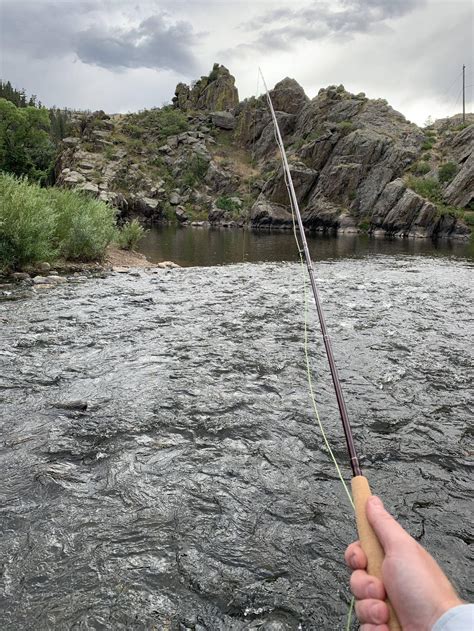 Poudre river fishing