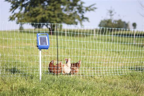 poultry electric fence