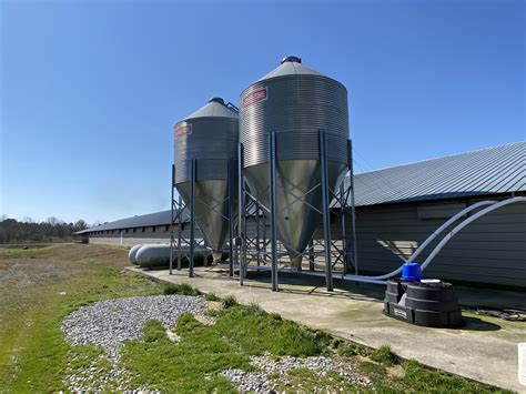 poultry farm in alabama