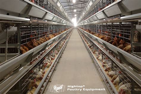 poultry farm setup cost