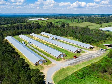 poultry farms for sale in usa