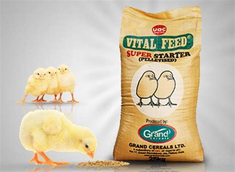 poultry feed companies in nigeria