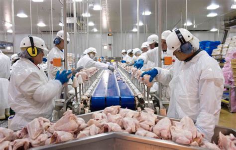 poultry manufacturers near me