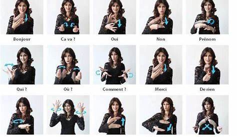 LSF (langue des signes française) | Lsf, Langue des signes française