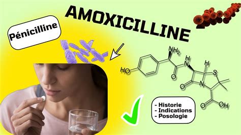 pourquoi prendre de l'amoxicilline