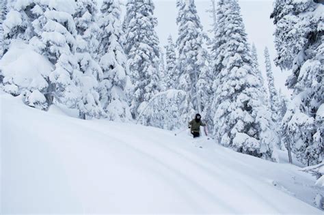 Powder King Snowfall