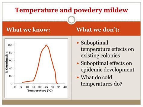 Powdery Mildew Temperature Range