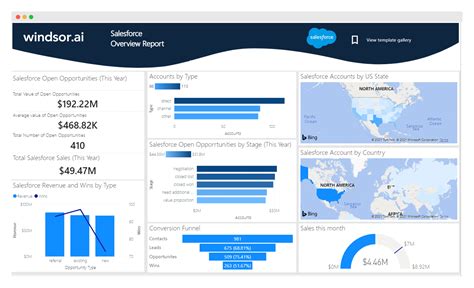 power bi salesforce dashboard examples