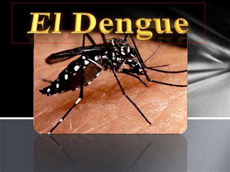 power point sobre dengue