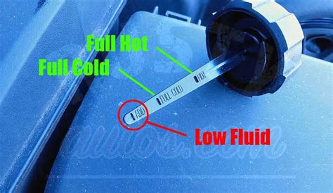 Power Steering Dipstick