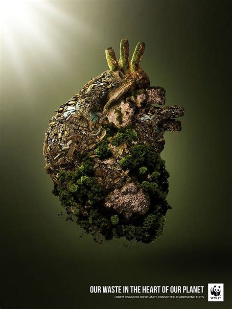 Powerful Environmental Videos