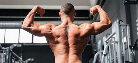 Powerlifting Bodybuilding Differenze