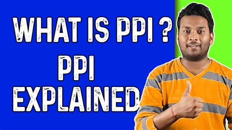 ppi meaning in business
