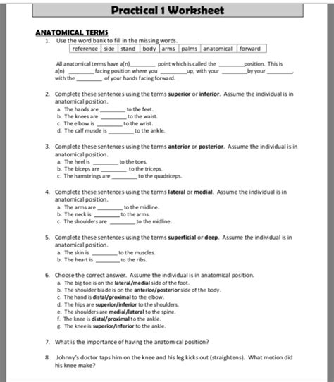 practical 1 worksheet anatomical terms answers