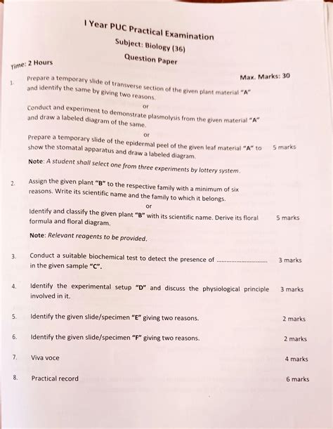 Practical Exam Question Paper Class 11