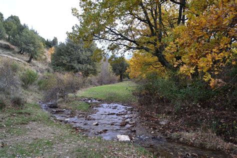 pradena de la sierra