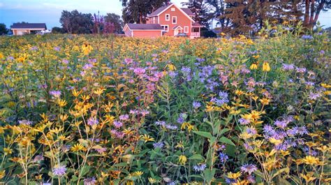 prairie moon nursery